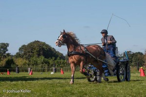 dressuur en vaardigheid  nienoord 10-8-2015  joshua keller-0633        